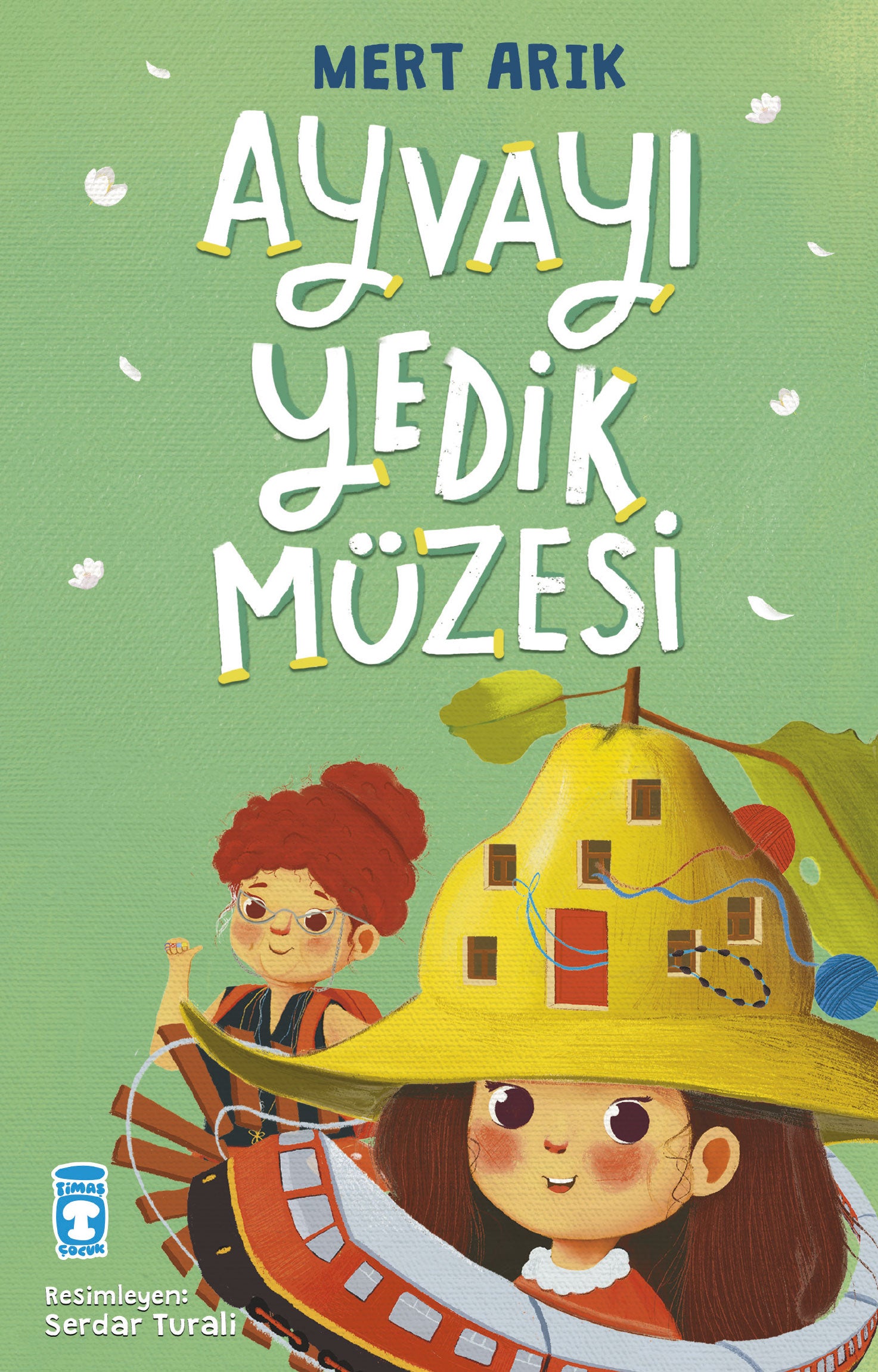 Ayvayı Yedik Müzesi Timaş Yayınları