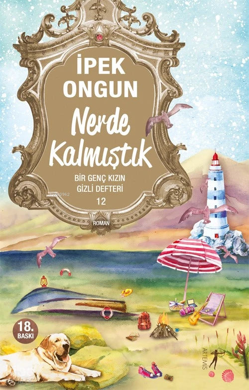 Bir Genç Kızın Gizli Defteri - 12 Nerde Kalmıştık Artemis Yayınları-1