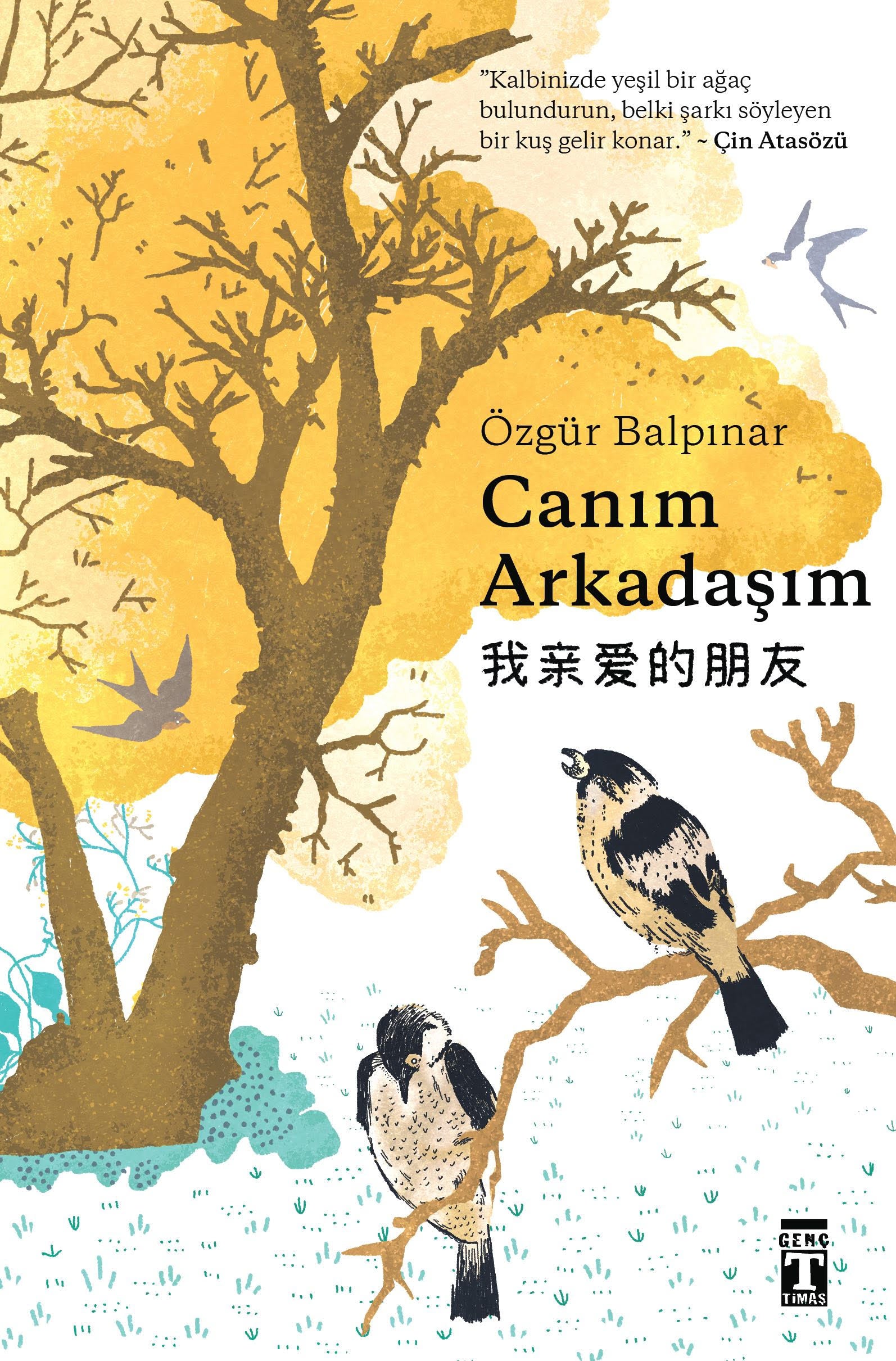 Canım Arkadaşım Özgür Balpınar Genç Timaş-1