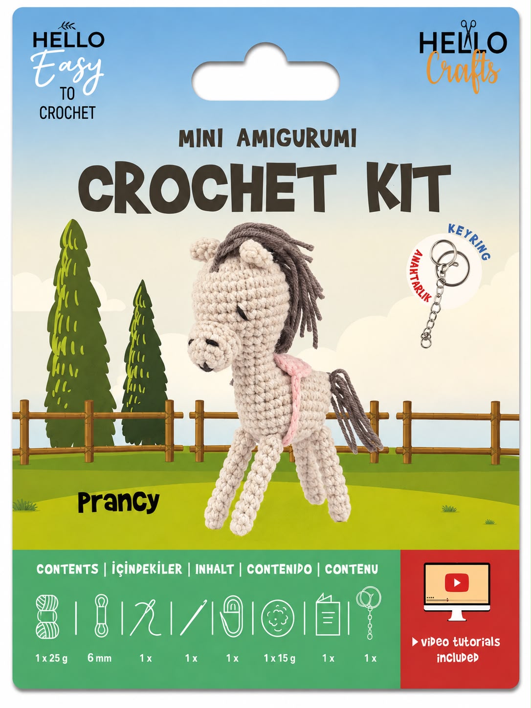 H.CRAFTS TIĞ İŞİ MİNİ AMİGURUMİ KİTİ-PRANCY-2