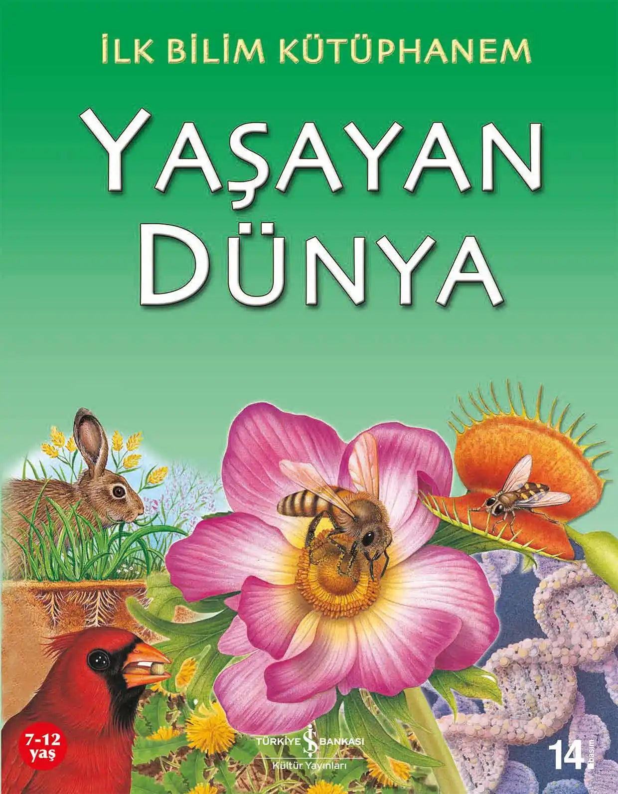 İlk Bilim Kütüphanem Yaşayan Dünya İş Bankası Kültür Yayınları-1