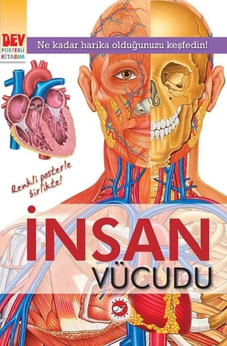İnsan Vücudu Beyaz Balina Yayınları-1