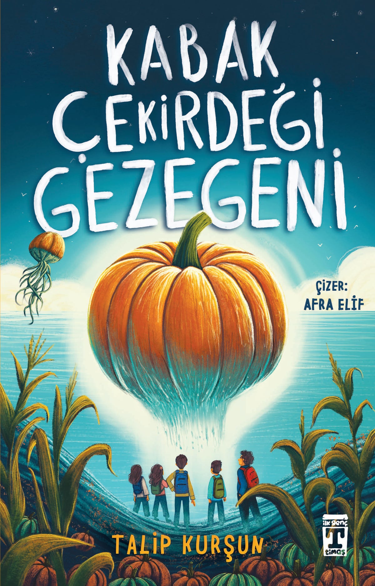Kabak Çekirdeği Gezegeni Genç Timaş-1