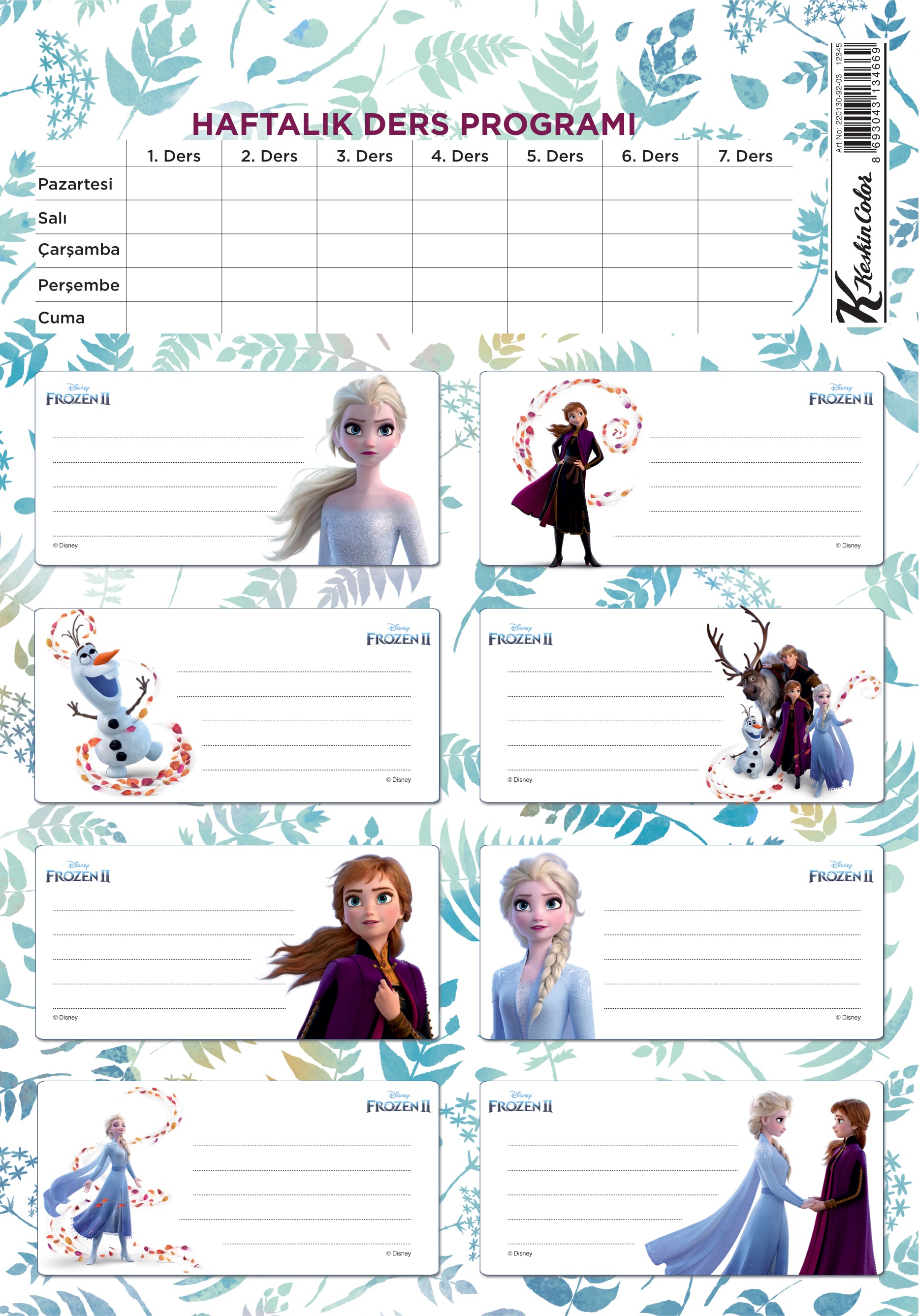 Keskin Color Frozen Iı Okul Etiketi Ders Programlı 3 LÜ 220130-92-1