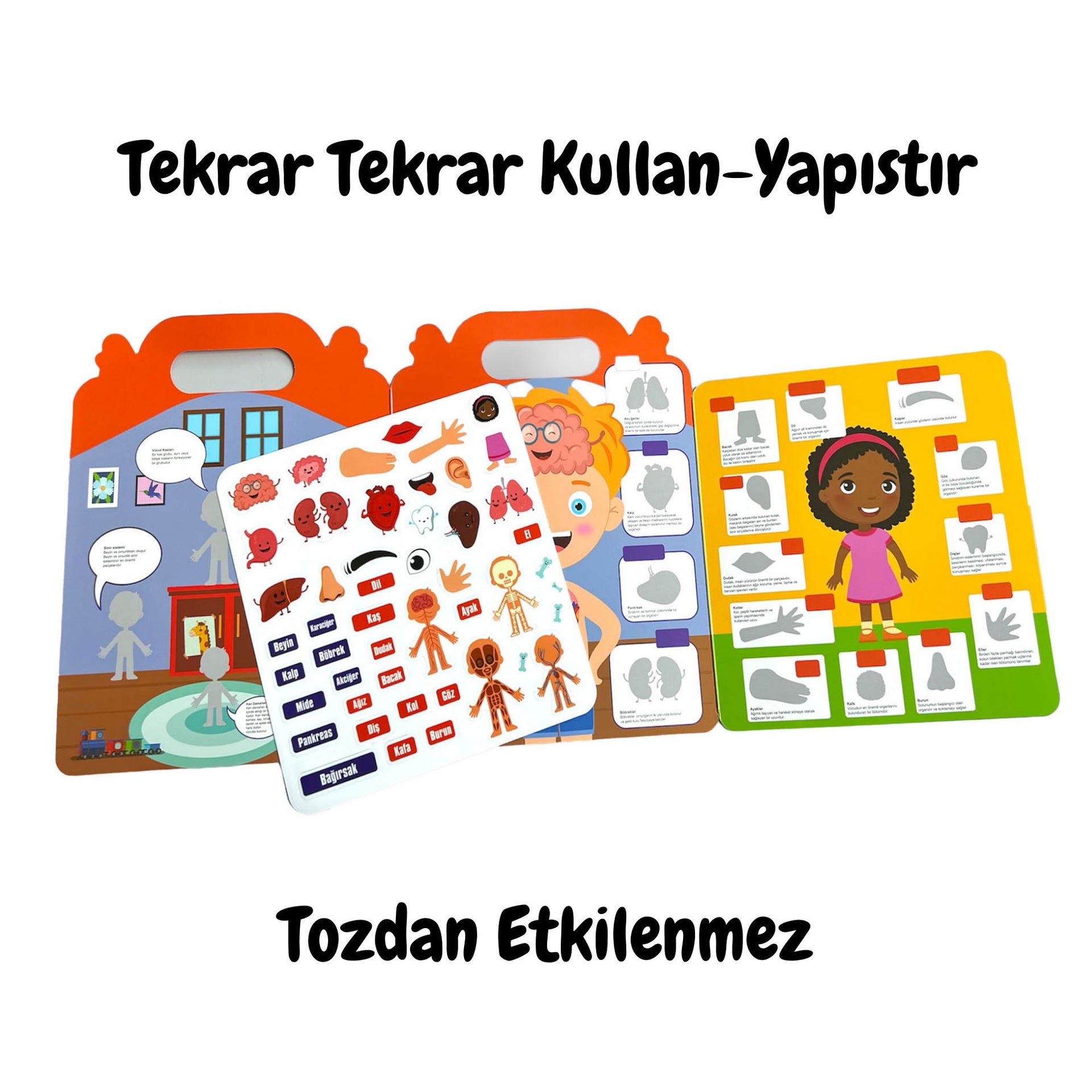 Lino Tekrar Tekrar Kullanılabilen İlk Sticker Kitabım My Body LS-500