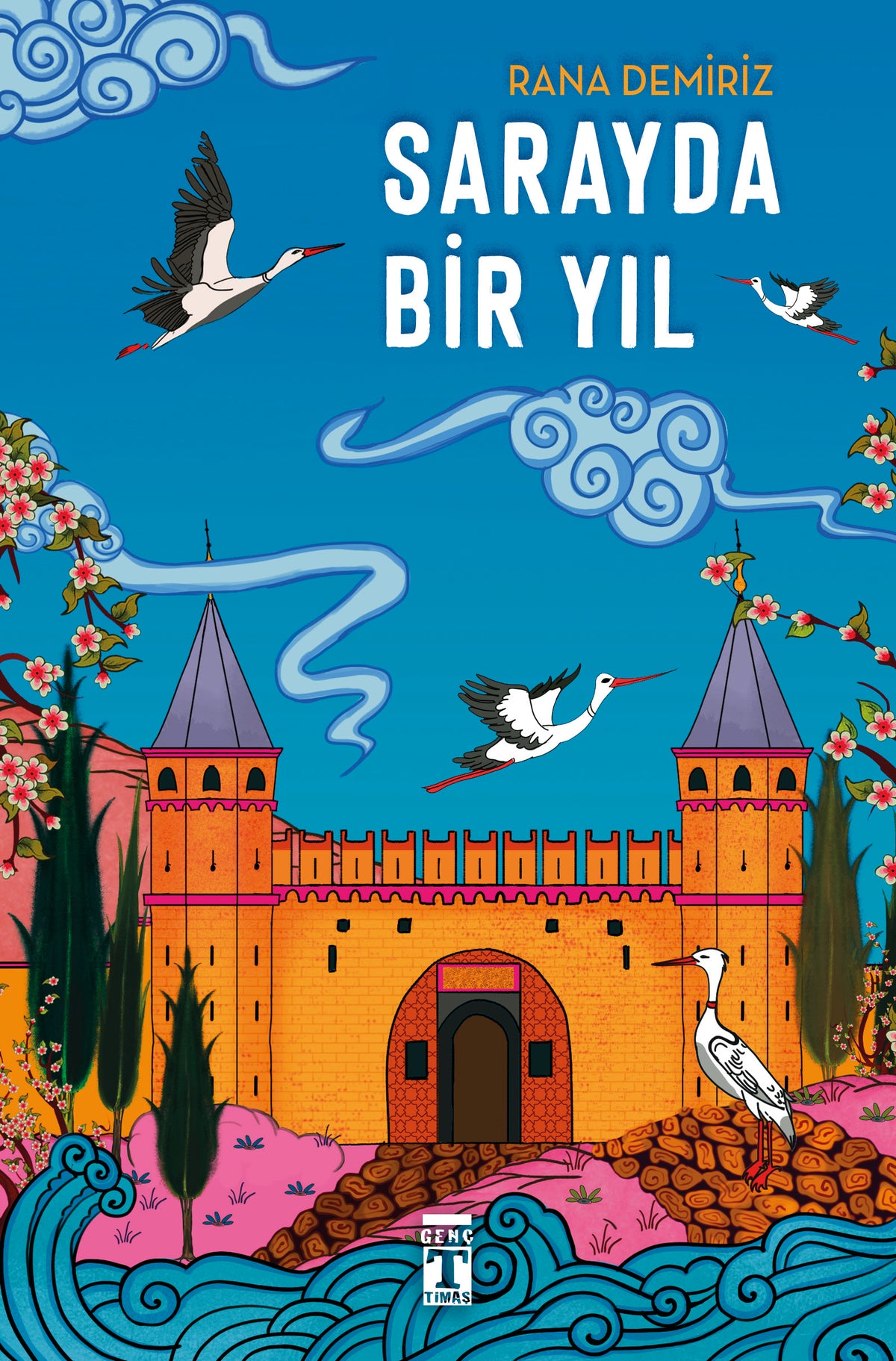 Sarayda Bir Yıl Rana Demiriz Genç Timaş-1