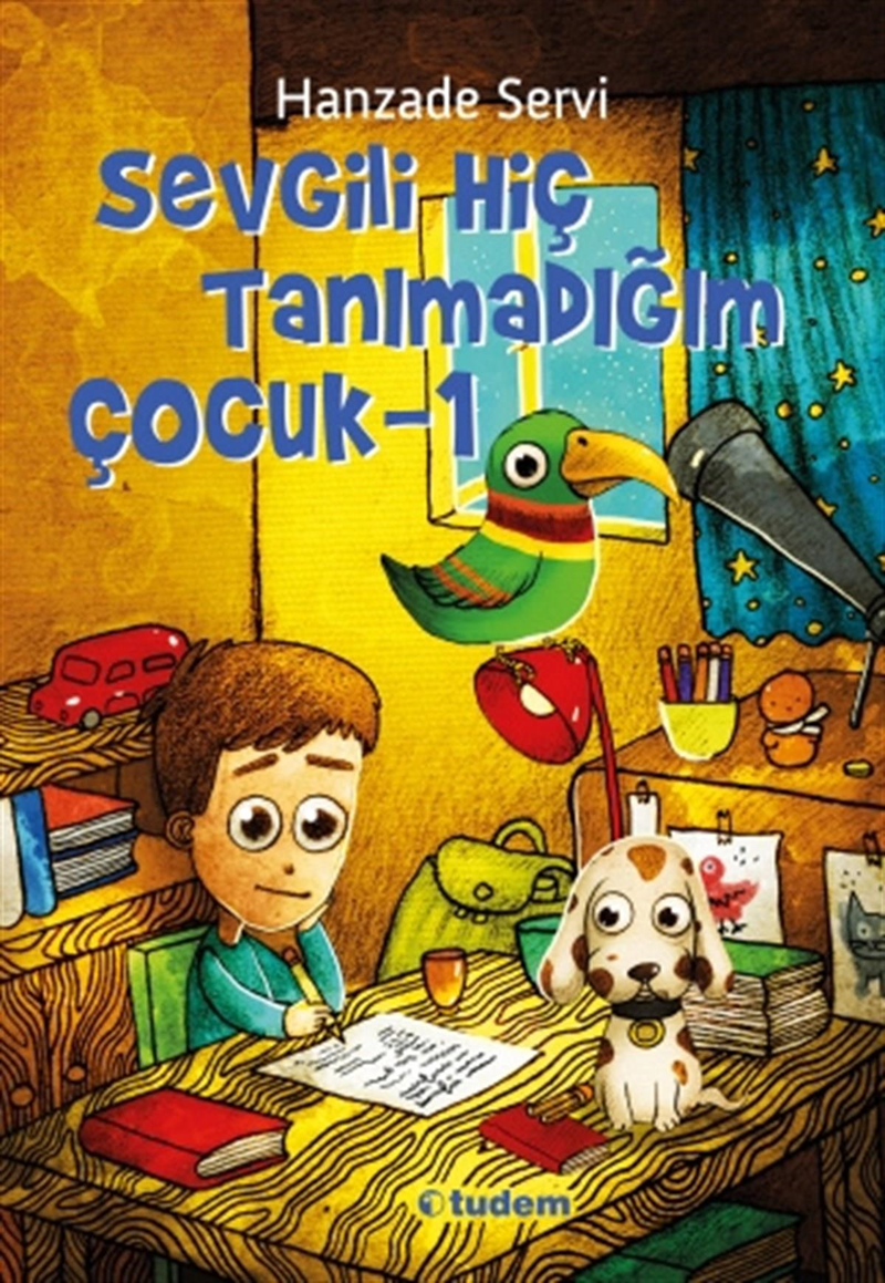 Sevgili Hiç Tanımadığım Çocuk Tudem Yayınları-1