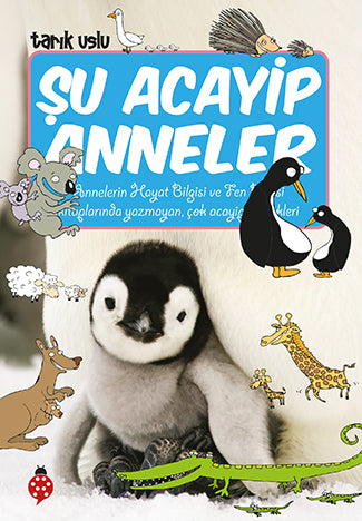 Şu Acayip Anneler Uğurböceği Yayınları