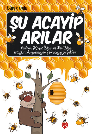 Şu Acayip Arılar Uğurböceği Yayınları-1