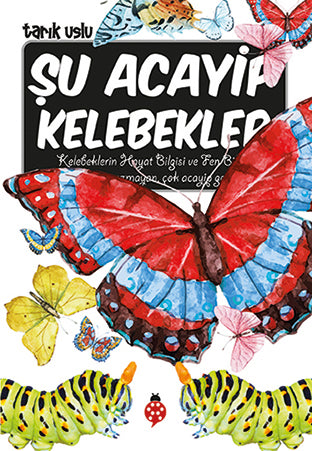 Şu Acayip Kelebekler Uğurböceği Yayınları-1