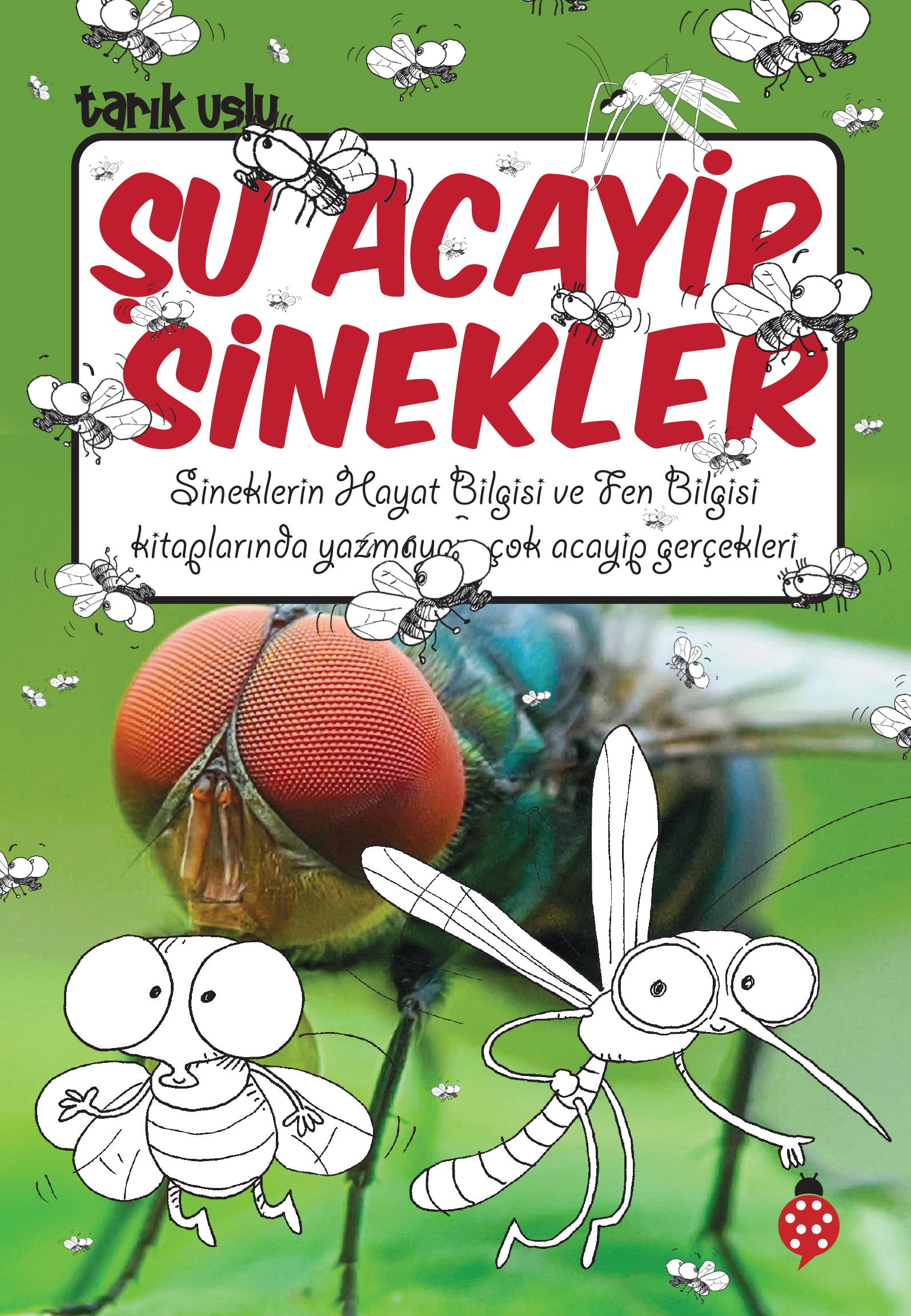 Şu Acayip Sinekler Uğurböceği Yayınları-1
