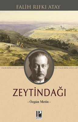Zeytindağı Pozitif Yayınları-1